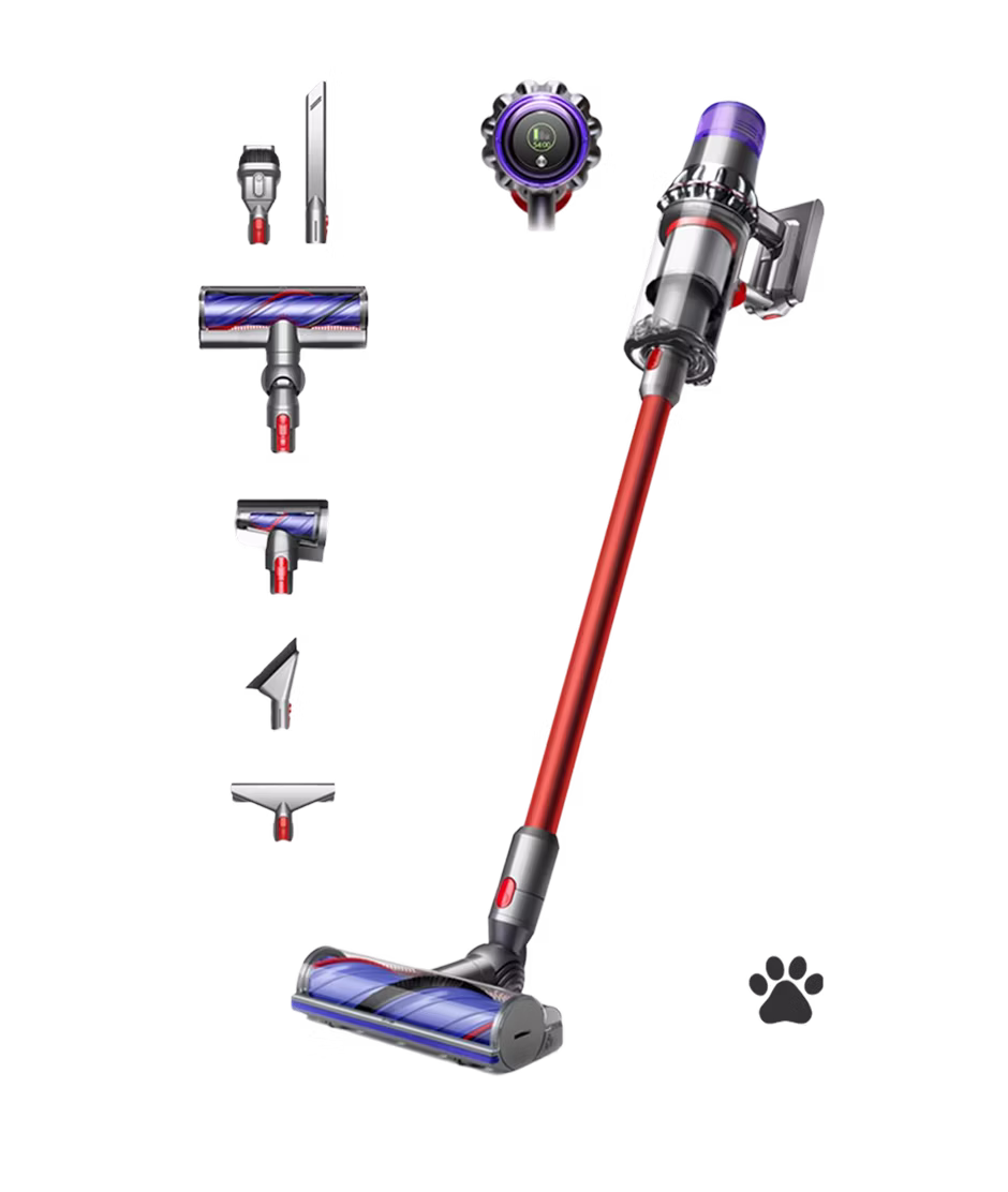 Dyson V11™ Extra Iron/Red