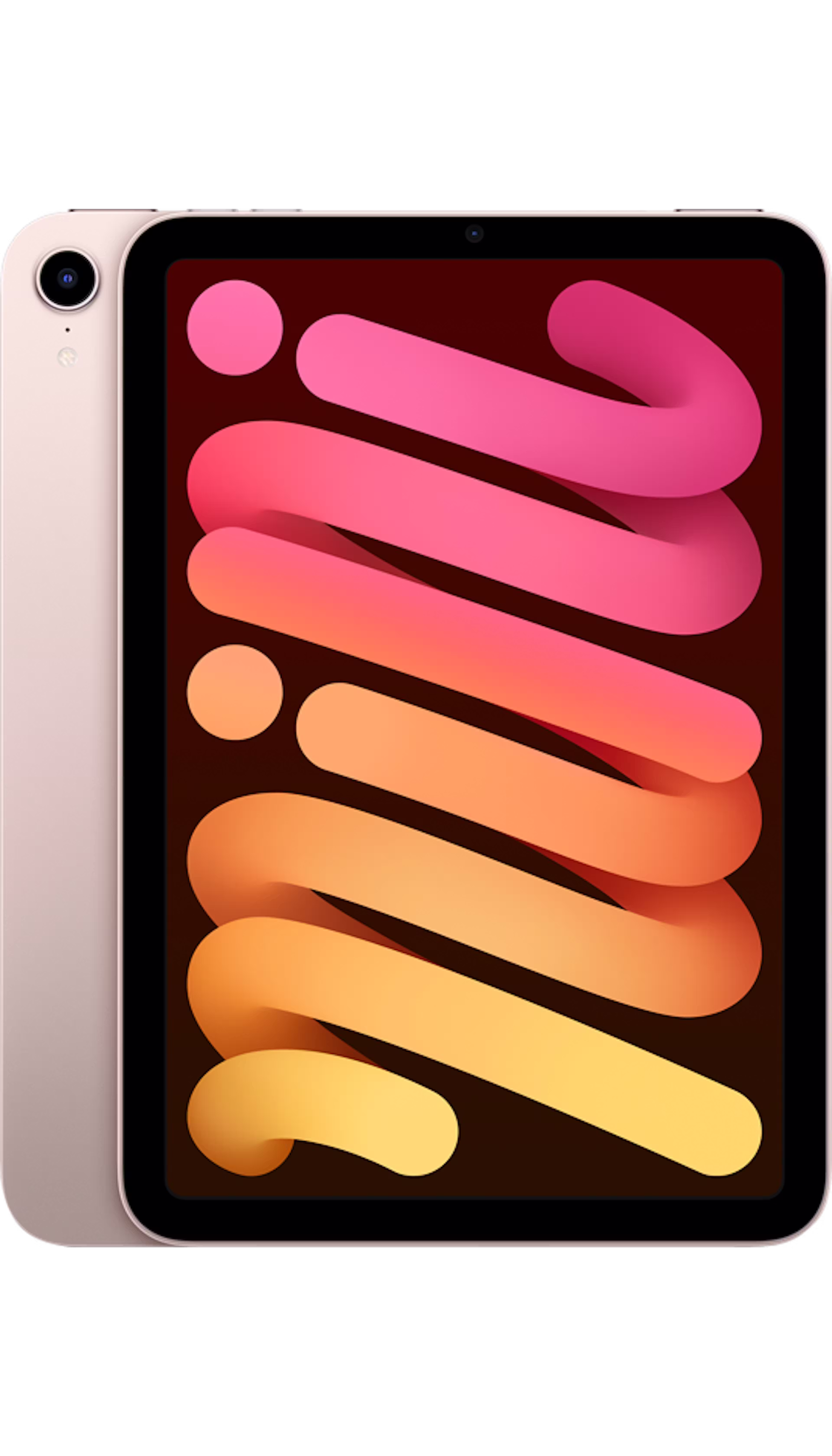 iPad mini 8.3-inch (2021)