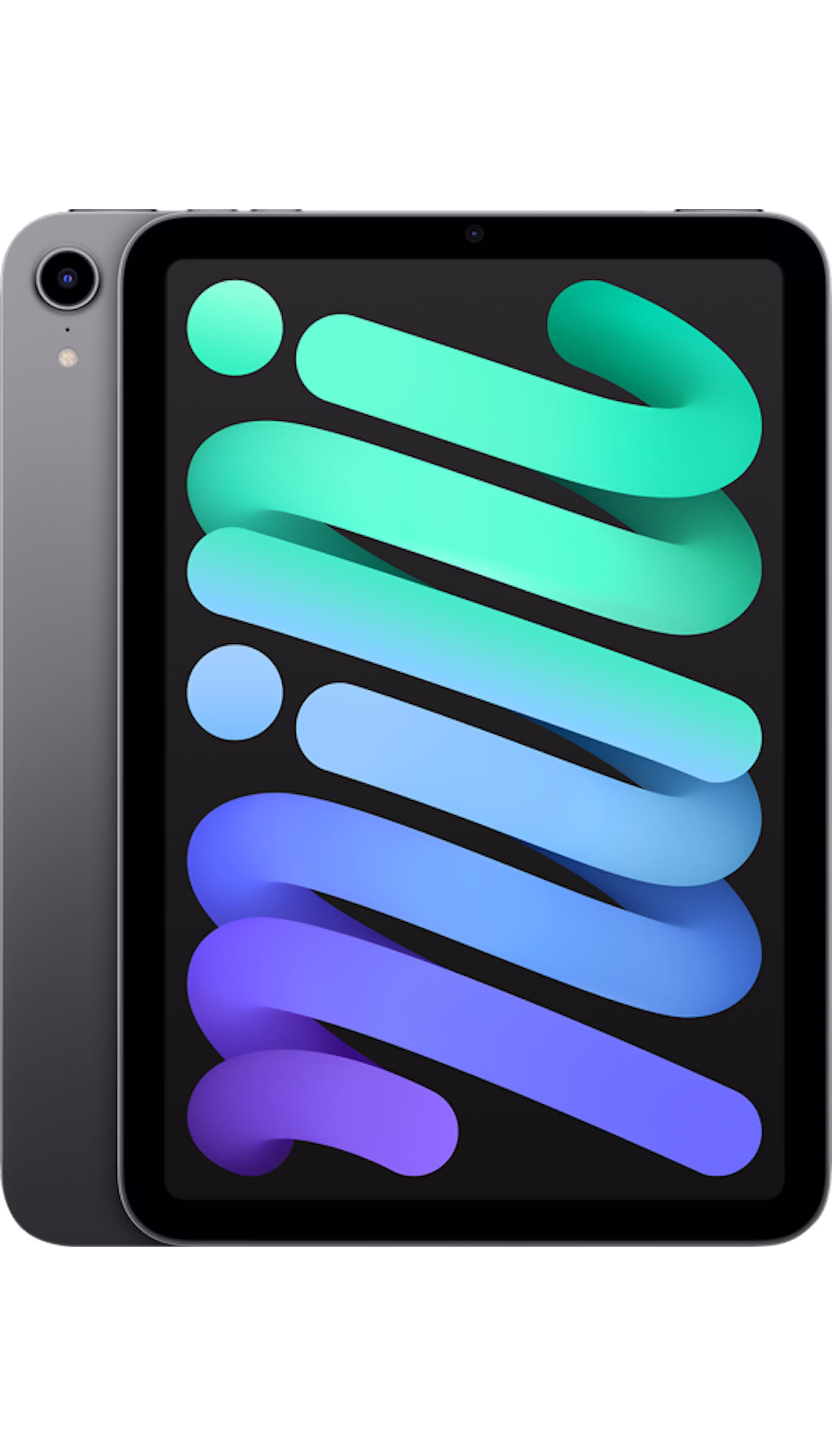 iPad mini 8.3-inch (2021)